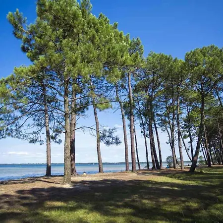à Avec Piscine, 4 Pers, Près Du Lac, Ménage Inclus - Fr-1-319-444 Parentis-en-Born